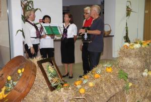 Na razstavi 740 buč