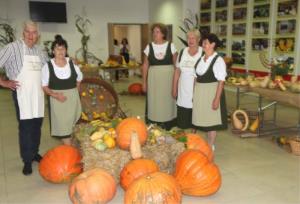 Na razstavi 740 buč