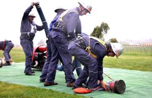 Za Pokal kobule in memorial Žiga ter Danija