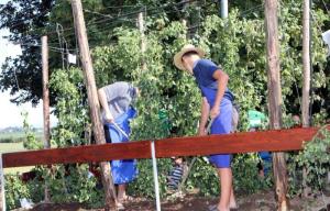 56. Dan slovenskih hmeljarjev v Braslovčah