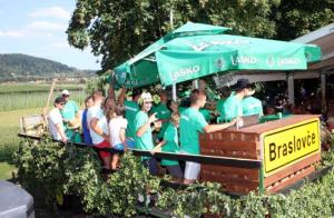 56. Dan slovenskih hmeljarjev v Braslovčah