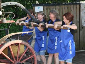 Tekmovanje s starimi in ročnimi brizgalnami