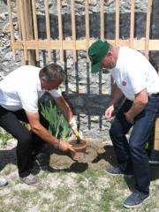 Potomka najstarejše trte na svetu sedaj tudi na gradu Žovnek