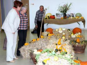 Na razstavi 210 vrst buč