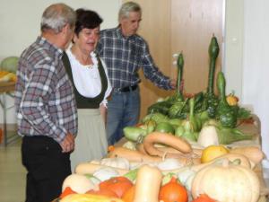 Na razstavi 210 vrst buč