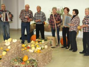 Na razstavi 210 vrst buč