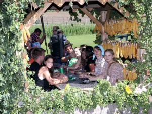 55. Dan slovenskih hmeljarjev v Braslovčah