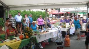 "Bronasta" bučna juha je braslovška