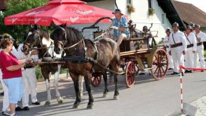 Več tekmovanj s starimi ročnimi in motornimi brizgalnami