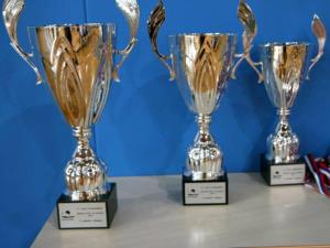 Mladi judoisti za Pokal Braslovč