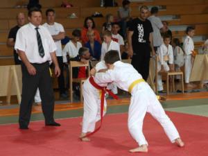 Mladi judoisti za Pokal Braslovč