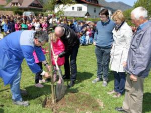 Svetovni dan Zemlje: »V vsako šolo in vrtec zasadimo lipo«