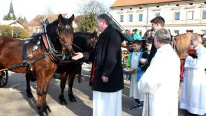 Župnijski praznik, blagoslov konj