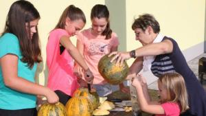 Na razstavi več kot 230 buč