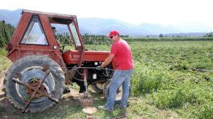 Velika škoda v hmeljiščih in drugih poljščinah