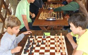 Šahisti za Pokal kobule