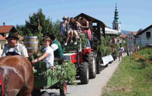 54. praznik slovenskih hmeljarjev v Braslovčah