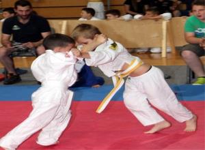 Pokal Judo klub Shido