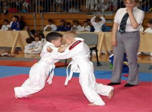 Pokal Judo klub Shido