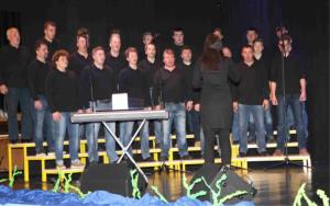 Dalmatinski večer v Braslovčah