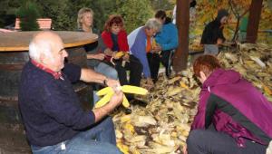Kožuhanje - ličkanje koruze kot nekoč