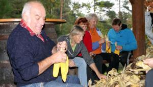 Kožuhanje - ličkanje koruze kot nekoč