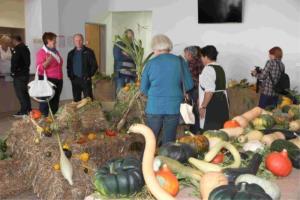 Jubilejna 10. bučijada v Braslovčah