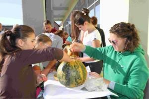 Jubilejna 10. bučijada v Braslovčah