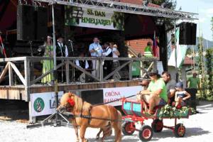 Na 53. prazniku hmeljarjev v Braslovčah izpraznili rekordno število vrčkov piva