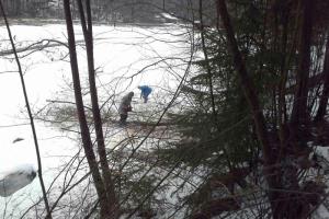 Za oživitev Braslovškega jezera