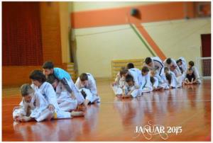 Taekwondo klub Sun Braslovče - uspešno leto 2014