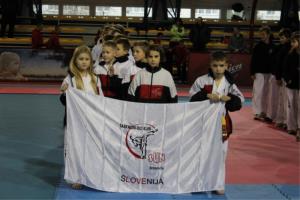 Taekwondo klub Sun Braslovče - uspešno leto 2014