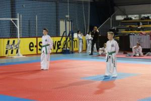 Taekwondo klub Sun Braslovče - uspešno leto 2014