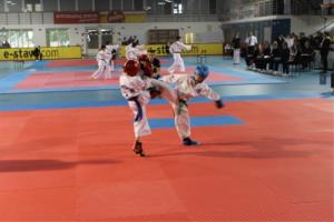 Taekwondo klub Sun Braslovče - uspešno leto 2014