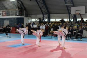 Taekwondo klub Sun Braslovče - uspešno leto 2014