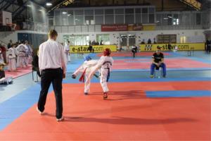 Taekwondo klub Sun Braslovče - uspešno leto 2014