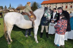 Blagoslov konj na Gomilskem