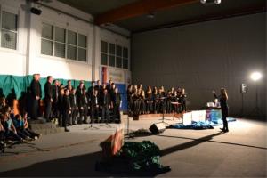 Švedska po Švedski ali kako so fantje MoPZ Karel Virant osvojili Švedsko