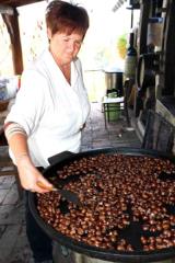 Ličkanje koruze