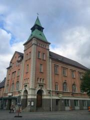 Braslovčani zastopali barve Slovenije na Švedskem