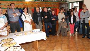 Na razstavi 380 buč