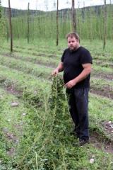 Neurje z obilo padavin povzročilo precej škode