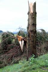 Neurje z obilo padavin povzročilo precej škode