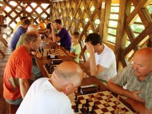 Prvi šahovski turnir za Pokal hmeljarske kobule