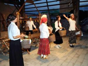 52. praznik hmeljarjev v Braslovčah