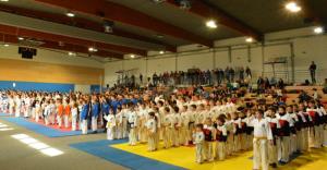 Mednarodno taekwon-do tekmovanje v Braslovčah